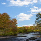 Illustration for article titled Fall Photos 1